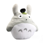 Peluche Totoro et Noiraude