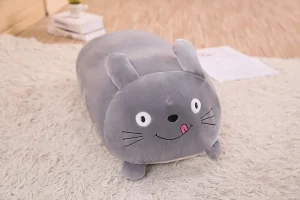 Peluche Coussin Totoro