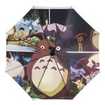 Parapluie Scènes Film Totoro