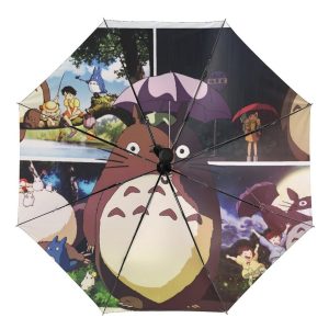Parapluie Scènes Film Totoro