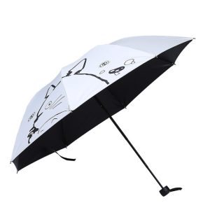 Parapluie Totoro Le Classique