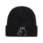 Bonnet Mon Voisin Totoro