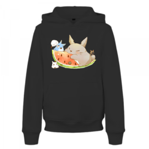 Sweat Enfant Totoro 3 Formes Pastèque