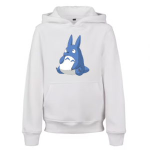 Sweat Enfant Chu Totoro Assis