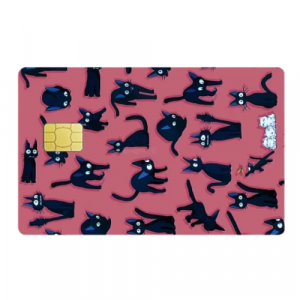 Sticker Carte Bancaire Kiki La Petite Sorcière Jiji Drôle